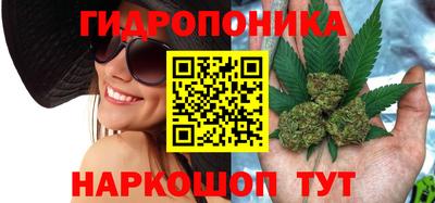 прущие крисы Ставрополь