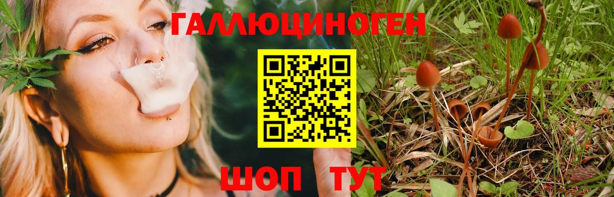 Галлюциногенные грибы MAGIC MUSHROOMS  Галлюциногенные грибы ЛСД  Нефтекамск  Вход с VPN 